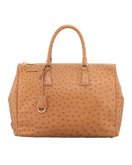 Prada Struzzo Tote Bag, Cognac (Cognac) 